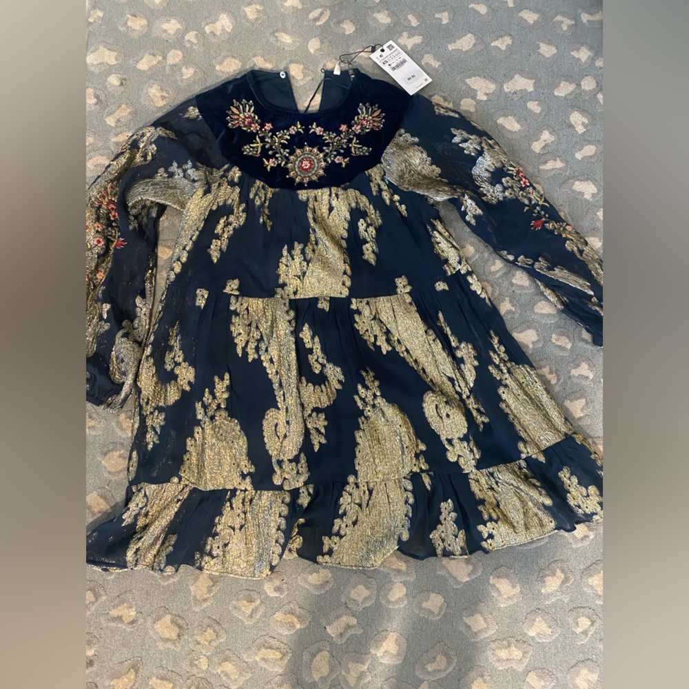 Zara Velvet Metallic Embroidered Mini dress